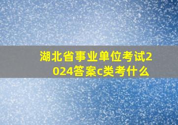 湖北省事业单位考试2024答案c类考什么