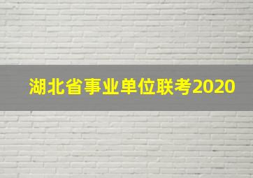 湖北省事业单位联考2020