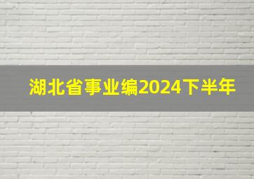 湖北省事业编2024下半年