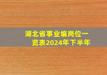 湖北省事业编岗位一览表2024年下半年