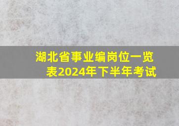 湖北省事业编岗位一览表2024年下半年考试