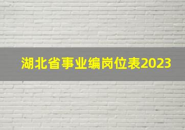 湖北省事业编岗位表2023