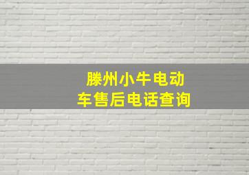 滕州小牛电动车售后电话查询