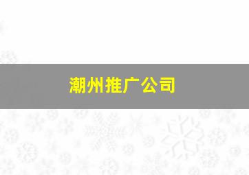 潮州推广公司