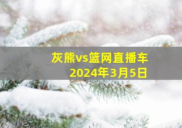 灰熊vs篮网直播车2024年3月5日