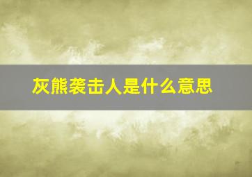 灰熊袭击人是什么意思