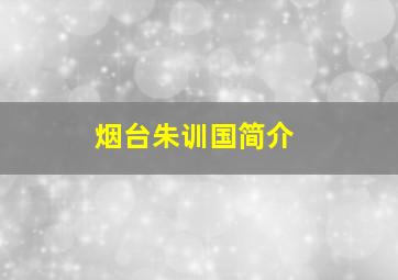 烟台朱训国简介