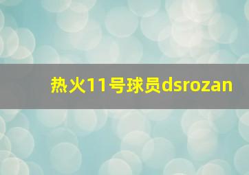 热火11号球员dsrozan