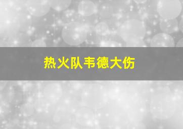 热火队韦德大伤