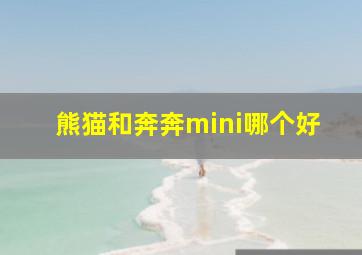 熊猫和奔奔mini哪个好