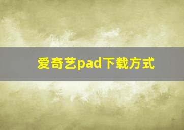 爱奇艺pad下载方式