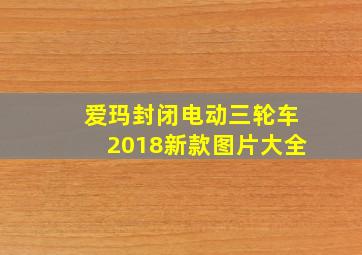 爱玛封闭电动三轮车2018新款图片大全