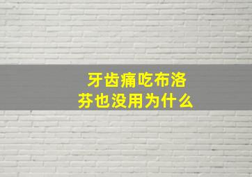 牙齿痛吃布洛芬也没用为什么