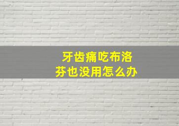 牙齿痛吃布洛芬也没用怎么办