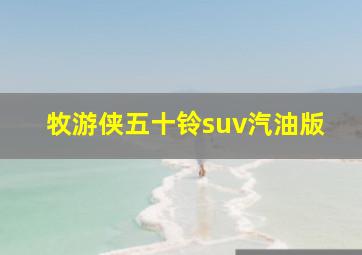 牧游侠五十铃suv汽油版