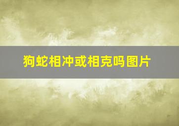 狗蛇相冲或相克吗图片