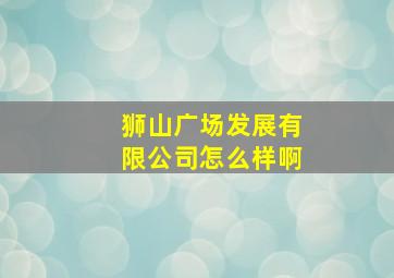 狮山广场发展有限公司怎么样啊