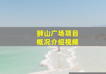 狮山广场项目概况介绍视频