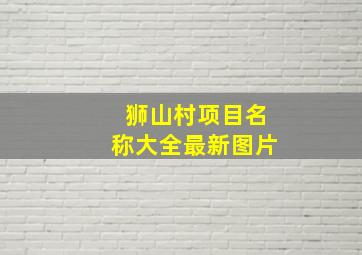 狮山村项目名称大全最新图片