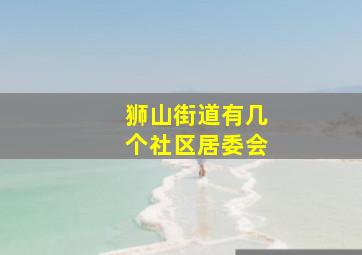 狮山街道有几个社区居委会