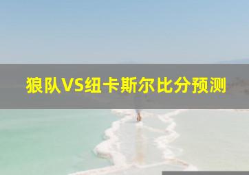 狼队VS纽卡斯尔比分预测