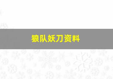 狼队妖刀资料