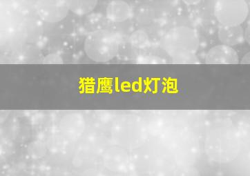 猎鹰led灯泡