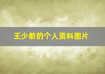 王少舫的个人资料图片