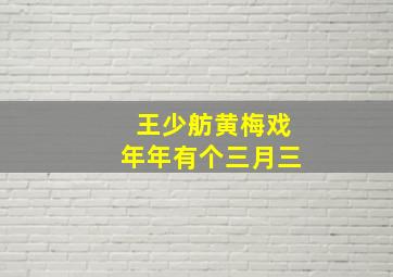 王少舫黄梅戏年年有个三月三