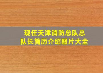 现任天津消防总队总队长简历介绍图片大全