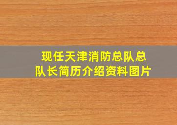 现任天津消防总队总队长简历介绍资料图片