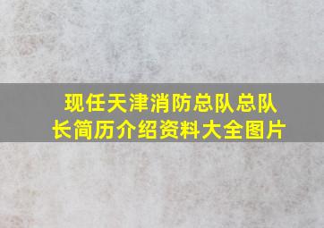 现任天津消防总队总队长简历介绍资料大全图片