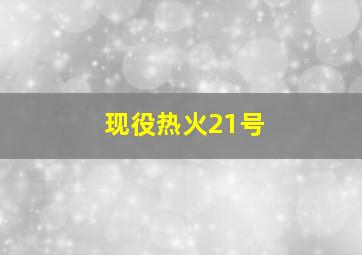 现役热火21号