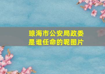 琼海市公安局政委是谁任命的呢图片