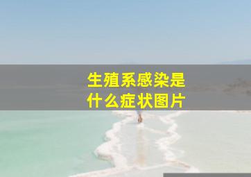 生殖系感染是什么症状图片