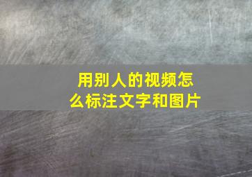 用别人的视频怎么标注文字和图片