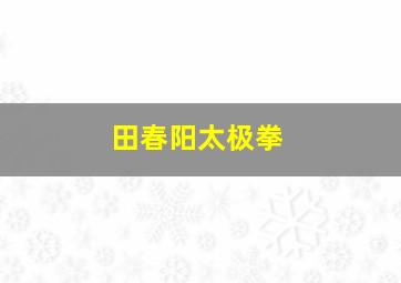 田春阳太极拳