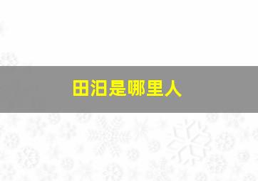 田汨是哪里人