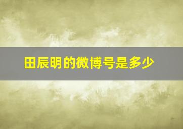 田辰明的微博号是多少