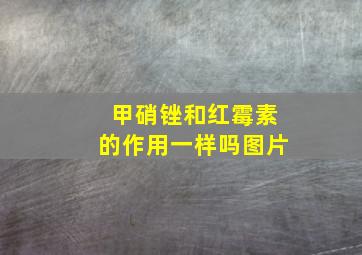 甲硝锉和红霉素的作用一样吗图片