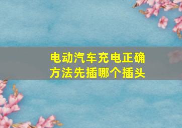 电动汽车充电正确方法先插哪个插头