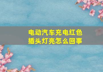 电动汽车充电红色插头灯亮怎么回事