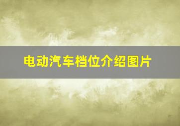 电动汽车档位介绍图片