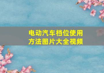 电动汽车档位使用方法图片大全视频