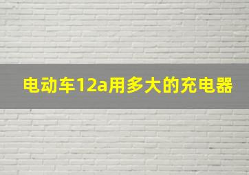 电动车12a用多大的充电器