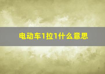 电动车1拉1什么意思