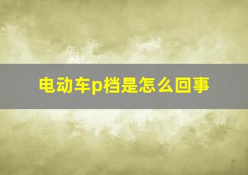 电动车p档是怎么回事