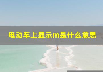 电动车上显示m是什么意思