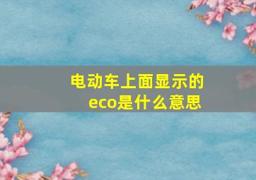 电动车上面显示的eco是什么意思