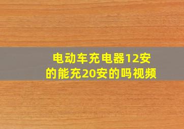 电动车充电器12安的能充20安的吗视频